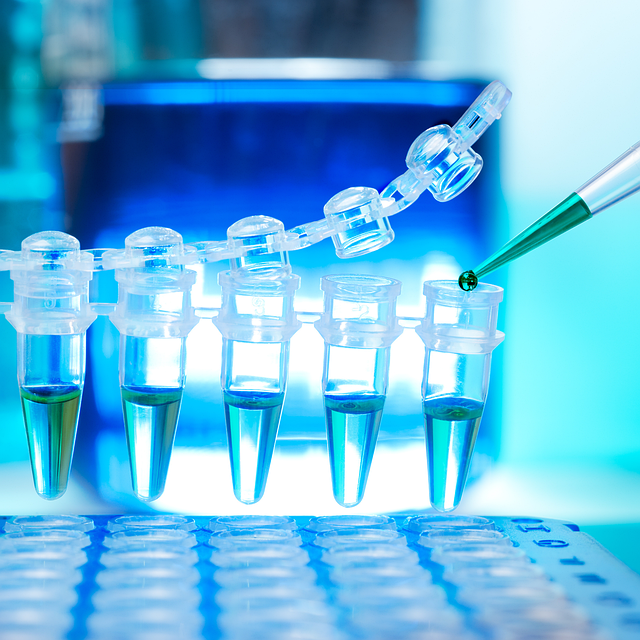 **”Podwórkowe Laboratorium Małego Naukowca: Eksperymenty, które Zastąpią Ekran i Rozbudzą Pasję do Nauki”**