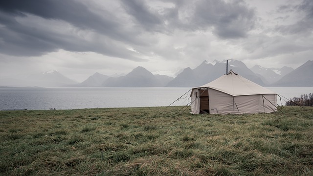 **Eko-Glamping w cieniu starodrzewu: Jak projektować i zarządzać luksusowymi namiotami, by chronić i promować bioróżnorodność leśną?** - 5 2025