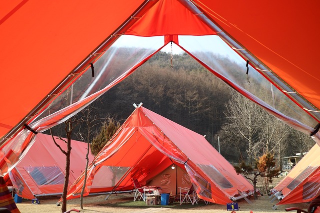 **Glamping a dzika zwierzyna: Jak minimalizować wpływ na lokalną faunę i zapewnić bezpieczeństwo gości?** - 3 2025